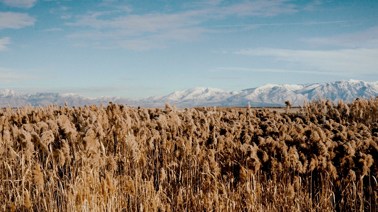 Discover Brigham City, Utah: A Hidden Gem of History, Nature, and Community