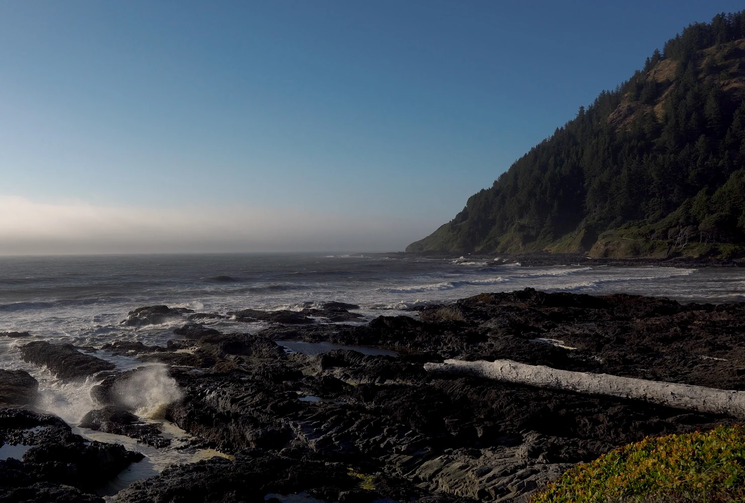 The Oregon Coast