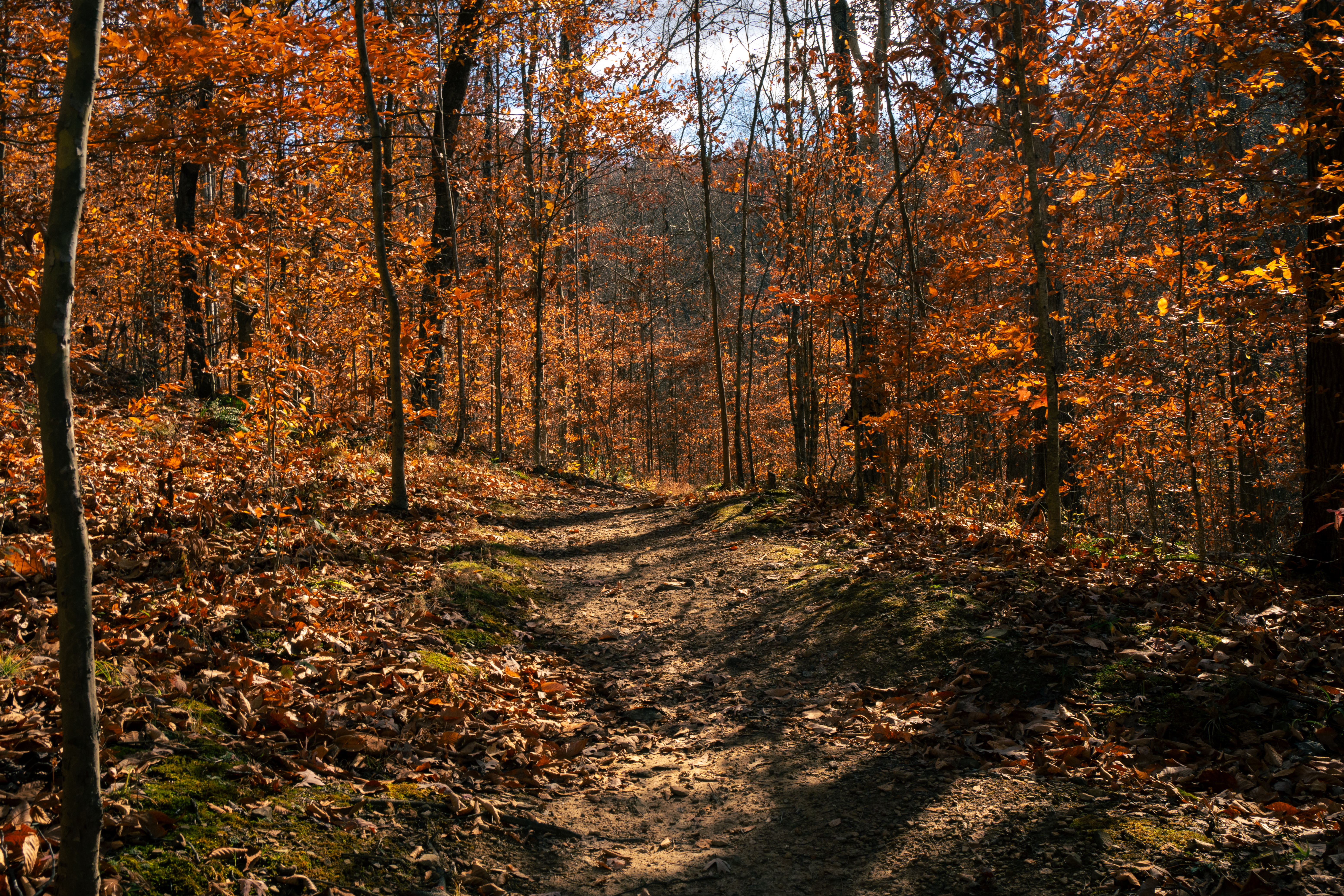 Meeks Mountain Trails